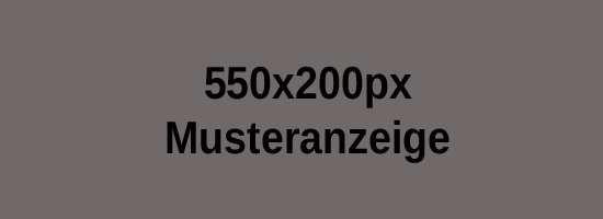 Muster_AnzeigeWebbanner_550x200px
